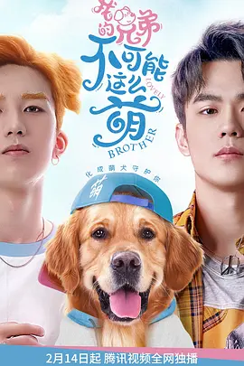 我的兄弟不可能這么萌